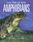 Amphibians: Back from the Brink