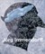 JÃ¶rg Immendorff: Catalogue RaisonnÃ© of the Paintings, Volume III 1999-2007