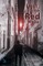 Lost In The Red Maze