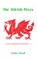The Welsh Boys