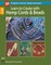 Learn to Create with Hemp, Cord, & Beads