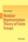 Modular Representation Theory of Finite Groups