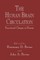 The Human Brain Circulation