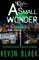 A Small Wonder