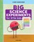 Big Science Experiments for Little Kids