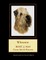 Wheaten