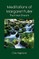 Meditations of Margaret Fuller