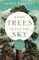 Where Trees Touch the Sky