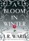 A Bloom in Winter