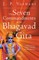The Seven Commandments of the Bhagavad Gita