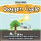 Oxygen Cycle