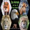 zoo Animals