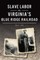 Slave Labor on Virginia's Blue Ridge Railroad
