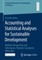 Accounting and Statistical Analyses for Sustainable Development
