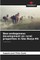 Neo-endogenous development on rural properties in SÃÂ£o Borja-RS