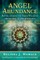 Angel Abundance