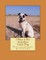 I Want A Pet Australian Cattle Dog