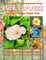 New Creations Coloring Book Series