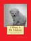I Want A Pet Maltese