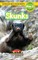 Skunks