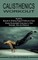 Calisthenics Workout