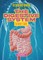 The Digestive System