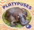 Platypuses