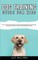 Dog Training Guide for Kids