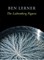 The Lichtenberg Figures