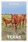 Insight Guides Texas: Travel Guide with eBook