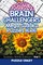 Brain Challengers Mega Sudoku Puzzles 16x16 Vol 1