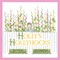Holly's Hollyhocks
