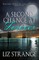 A Second Chance at Forever