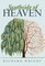 Southside of Heaven