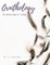 Essays in Ornithology