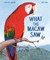 What the Macaw Saw