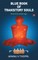 Blue Book of Transitory Souls, Beyond an Escape Saga