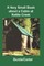 A Very Small Book about a Cabin at Kettle Creek