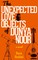 The Unexpected Love Objects of Dunya Noor