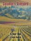 Solomon's Vineyard