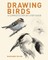 Drawing Birds