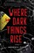 Where Dark Things Rise