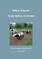 Cows Before Concrete