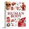 Knowledge Encyclopedia