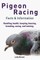 Pigeon Racing