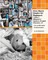 First Dutch Reader for Beginners Volume 2