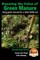 Knowing the Value of Green Manure - Using green manure for a richer fertile soil