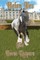 The Horse Keepers
