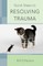 Quick Steps to Resolving Trauma