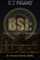 BSI